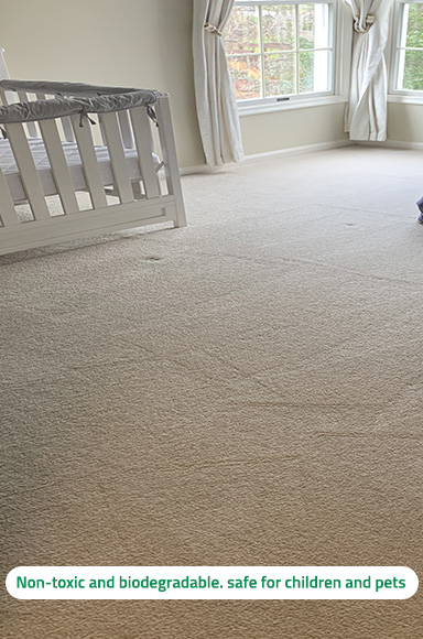 Green Cleaning Methods Green Cleaning Methods